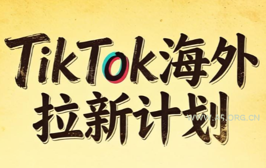 Tc联盟·TikTok海外拉新项目(更新9月)-小红泡