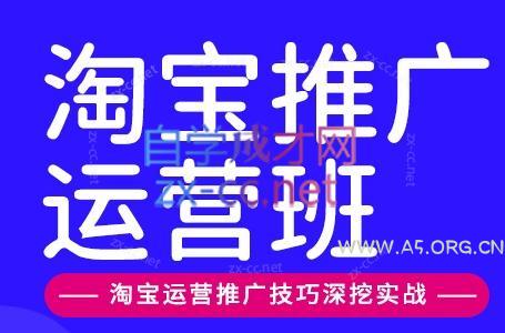 美迪电商·淘宝高级运营班+推广运营班(更新9月)-小红泡
