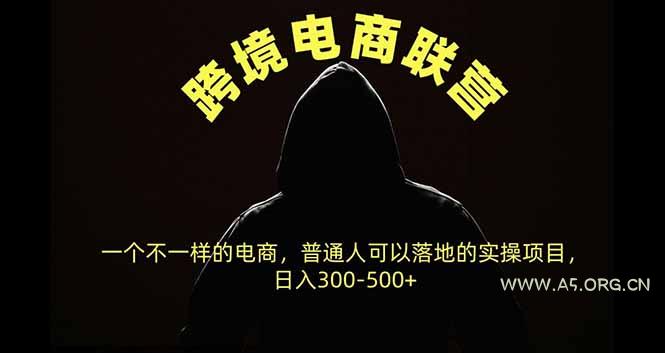 跨境电商联营，一个不一样的电商，普通人可操作日入300-500+-小红泡