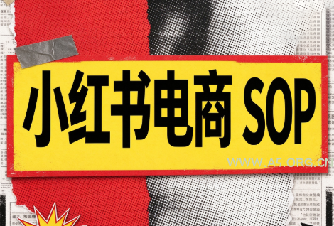 书豪必胜小红书电商sop(更新9月)-小红泡