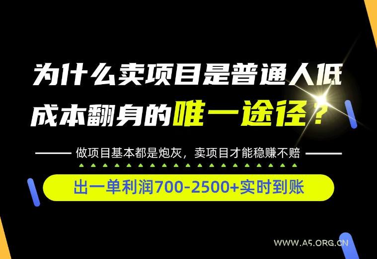 普通人如何靠互联网賺取自己的第一桶金！全类目实操型教学，看完你全都懂了！【揭秘】-小红泡