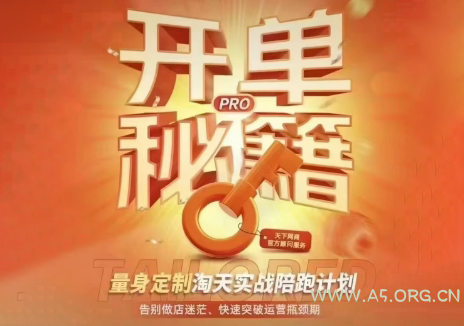 天下网商·淘宝天猫陪跑计划(更新10月)-小红泡