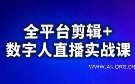 视频号、快手、抖音全平台剪辑+数字人直播实战课(更新)-小红泡