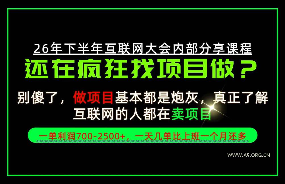 请不要再疯狂的找项目了！卖项目一单700-2.5k+不香吗？当天上手，当天变现！【揭秘】-小红泡