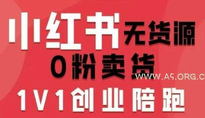 小红书无货源0粉电商课，开店准备、选品策略、笔记撰写、视频剪辑、数据分析、账号打造、资料文档(更新26年10月18日)-小红泡