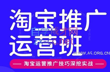 美迪电商·淘宝高级运营班+推广运营班(更新10月)-小红泡