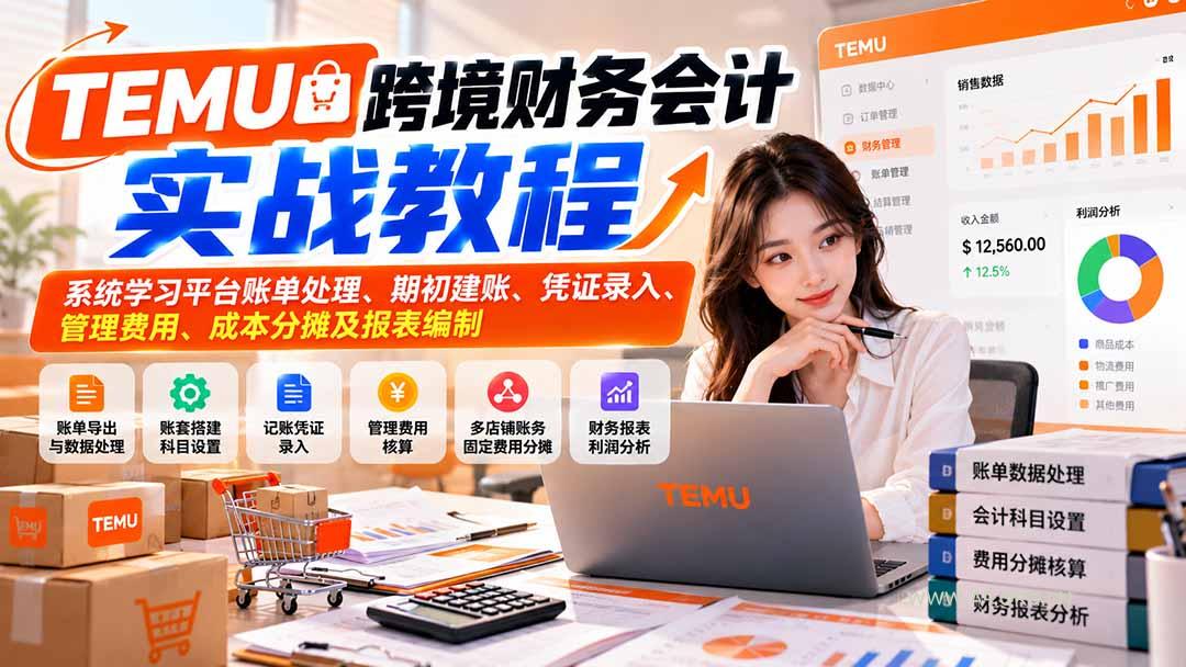 TEMU跨境财务会计实战教程:系统学习平台账单处理、期初建账、凭证录入、管理费用、成本分摊及报表编制-小红泡