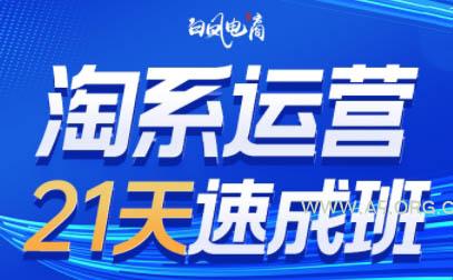 白凤电商·淘系运营21天速成班(更新10月)-小红泡