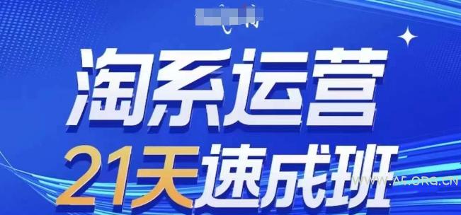 淘系运营21天速成班,0基础轻松搞定淘系运营,不做假把式,快速复制落地(更新26年10月)-小红泡